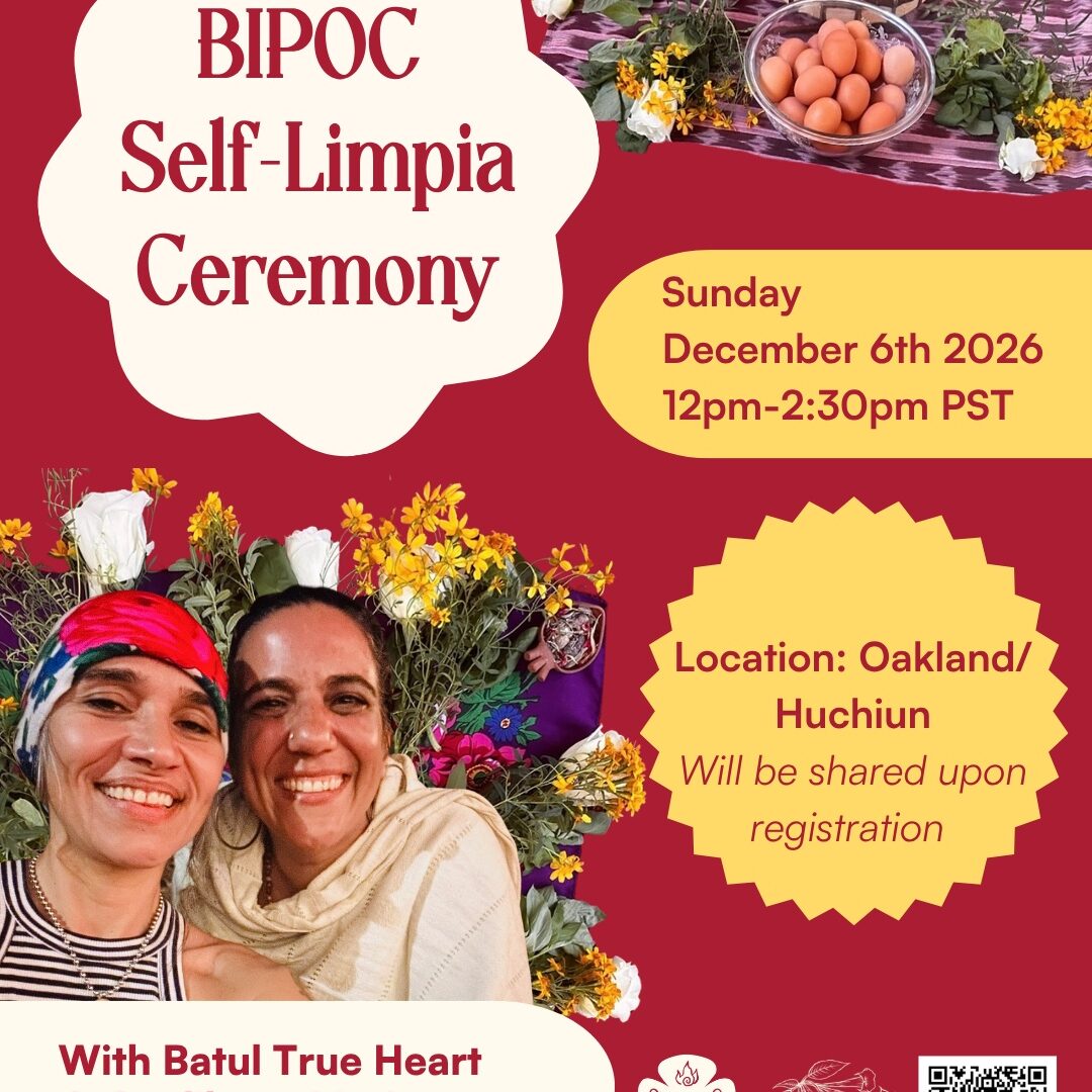 Dec 2026- Self Limpia Workshop - 1